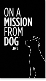 on a mission from dogo logo